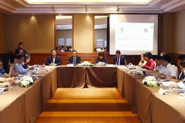 越南东盟第三阶段一体化倡议工作计划开展情况国家磋商会举行