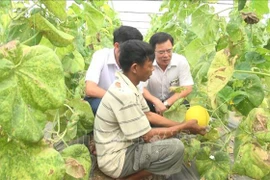 清化省力争2020年前再添569个安全食品供应链 