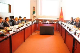 越南与墨西哥第五次政治磋商在墨西哥举行