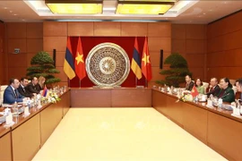 国会副主席丛氏放与亚美尼亚国民议会副议长举行会谈