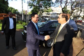 越南政府副总理王廷惠对南非进行工作访问