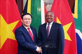 越南政府副总理王廷惠与南非副总统戴维会谈 
