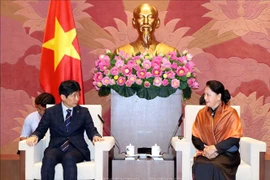 阮氏金银主席会见日本群马县代表团