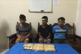 越老两国公安查获一起跨境贩毒案 缴获合成毒品3万颗