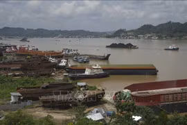 印尼新首都选址东加里曼丹省