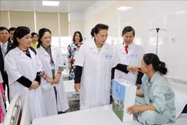 国会主席阮氏金银：努力发挥传统医学在人民保健工作中的作用