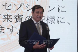 第六届越日文化交流活动在岘港市举行