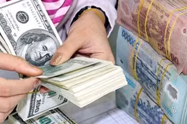 10月23日越盾对美元汇率中间价上调6越盾