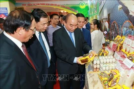 阮春福呼吁各阶层人民同心协力，共建新农村，建设富饶、美丽、文明的海防市