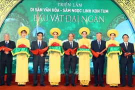 阮春福总理希望玉玲人参为越南药材产业打上深刻的历史烙印