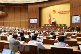 越南第十四届国会第八次会议：国会代表分组讨论三部法案