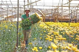 林同省区域建设规划获批