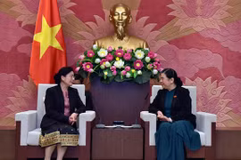 越南国会常务副主席丛氏放会见老挝审计署审计长万通·西潘敦