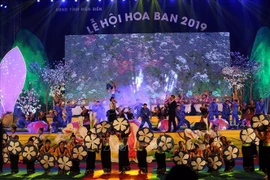 2019年奠边省羊蹄甲花节精彩开幕