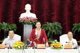 越南国会主席阮氏金银赴平顺省调研