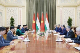 越南国家副主席邓氏玉盛同多国领导举行双边会晤