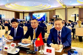 越南呼吁加强网络安全的国际合作