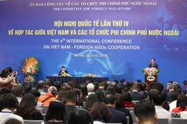 越南与外国非政府组织合作第四次国际会议开幕