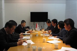 日本愿为越南在自然灾害防治领域提供支持