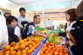 日本企业寻找对越南农产品投资合作商机