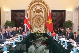 越英外交副部长级政治磋商会在河内举行
