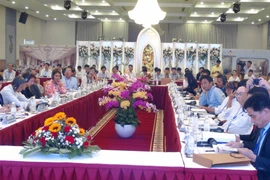 广南省和意大利紧密配合努力做好大湄公河次区域遗产保护修缮工作