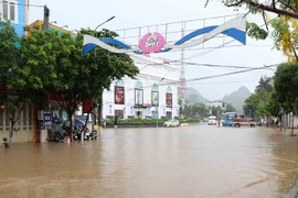 越南部分省市遭暴风雨雷电袭击 导致4人死亡 多人受伤和失踪