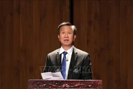 庆祝越南与瑞典建交50周年的音乐会在胡志明市举行