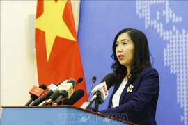 越南外交部发声：越南要求中国尊重越南对黄沙和长沙两个群岛的主权