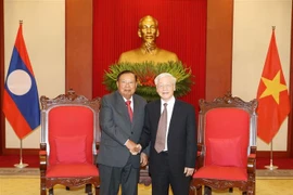 培育越老关系