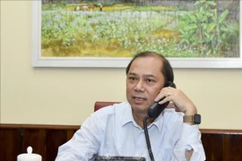 越英外交官通电话 决心打击非法组织他人偷越国边境的有组织犯罪