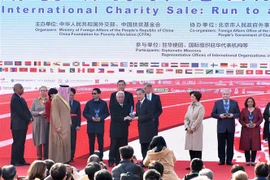 越南参加2019年中国国际义卖活动