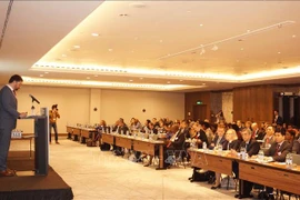  越南代表赴捷克出席第九届公共部门国际会议