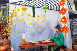 “遗产之地过春节”活动将在会安市举行