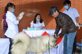 年初至今越南狂犬病死亡病例46例