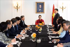 阮氏金银访法：与旅法越南人会面 向胡志明主席塑像献花