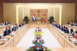 越南政府总理范明政与荷兰首相马克·吕特举行会谈