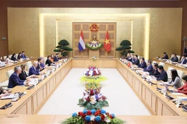 越南政府总理范明政与荷兰首相马克·吕特举行会谈