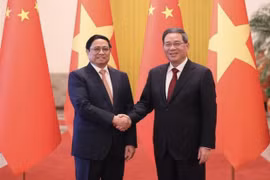 推动越中全面战略合作伙伴关系迈上新台阶