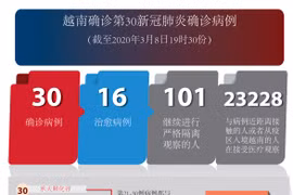 图表新闻：越南确诊第30新冠肺炎确诊病例
