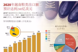 图表新闻：2020年越南鞋类出口额有望达240亿美元
