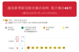 图表新闻：越南新增新冠肺炎确诊病例 累计确诊45例