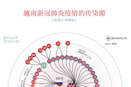 图表新闻：越南努力寻找新冠肺炎疫情的传染源