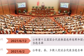 图表新闻：第十五届国会代表与各级人民议会代表选举的重大时间节点