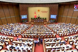 十五届国会六次会议：对政府成员进行质询和回答质询