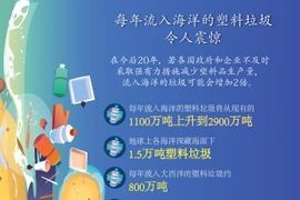 图表新闻：每年流入海洋的塑料垃圾令人震惊