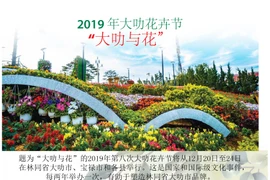 图表新闻：大叻市为花卉节缤纷多彩