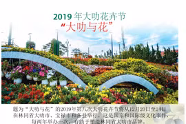 图表新闻：大叻市为花卉节缤纷多彩