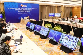 组图：区域全面经济伙伴关系协定（RCEP）第10次部长级会间会在河内举行