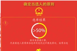 图表新闻：进行选举时确定当选人的原则